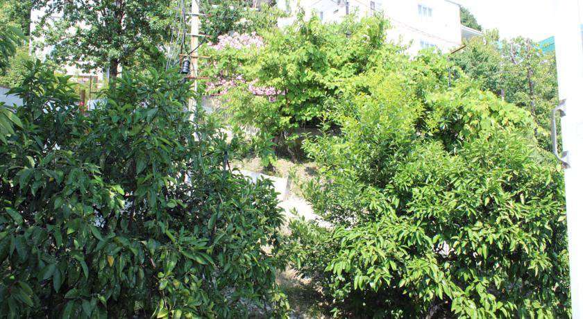 Гостиница Tatyana Guest House Лоо-77
